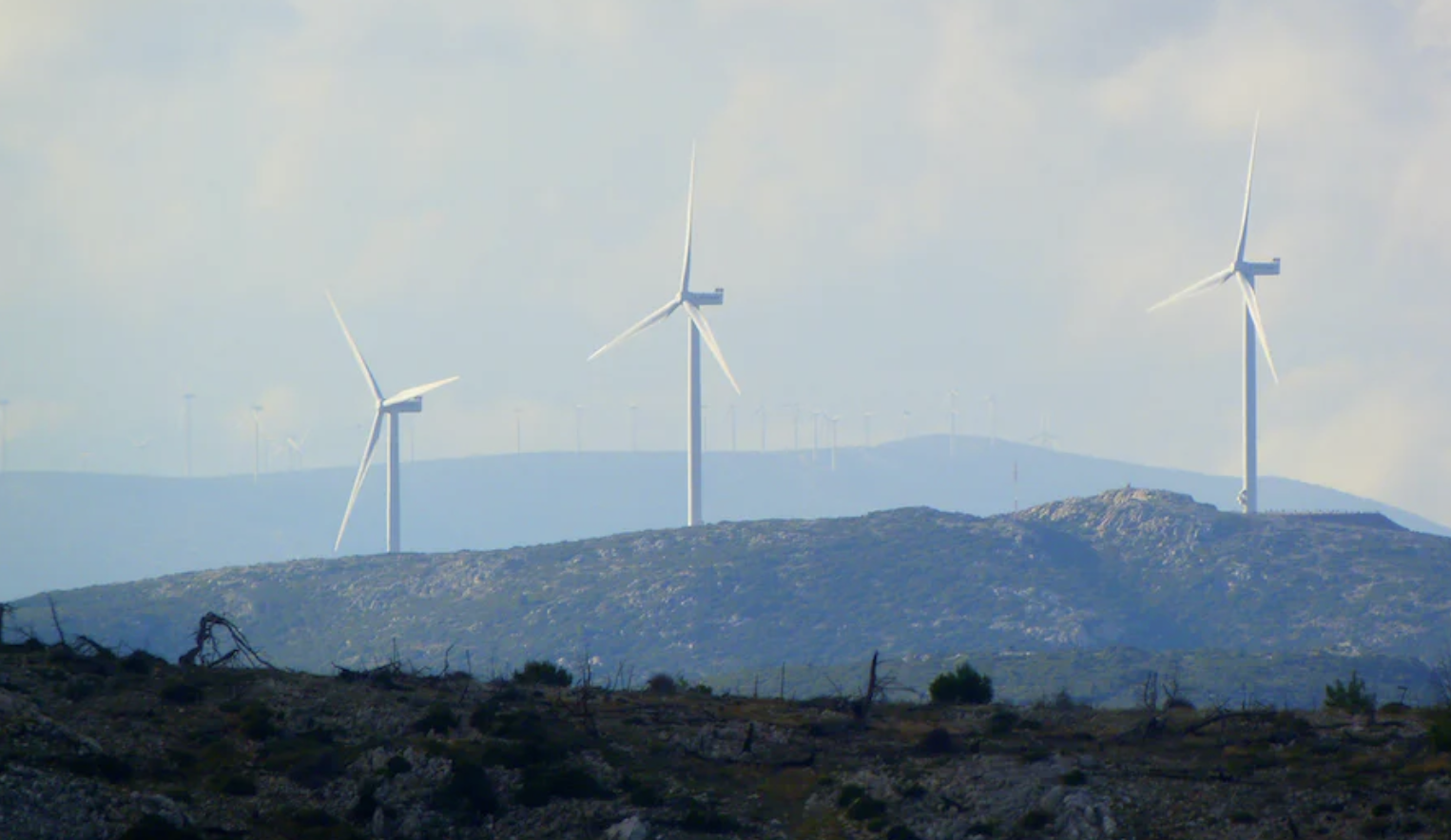 Windmills on a hill